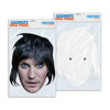 Personalised funny Celebrity face mask Noel Fielding ready to wear,  fun party gifts unique for fans, novelty face masks