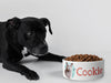 Personalised Ceramic Dog/Cat Name Pet Bowl