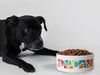 Personalised Ceramic Dog/Cat Name Pet Bowl