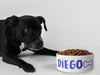 Personalised Ceramic Dog/Cat Name Pet Bowl
