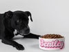 Personalised Ceramic Dog/Cat Name Pet Bowl