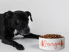Personalised Ceramic Dog/Cat Name Pet Bowl