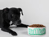 Personalised Ceramic Dog/Cat Name Pet Bowl