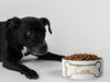 Personalised Ceramic Dog/Cat Name Pet Bowl