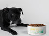 Personalised Ceramic Dog/Cat Name Pet Bowl