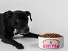Personalised Ceramic Dog/Cat Name Pet Bowl