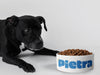 Personalised Ceramic Dog/Cat Name Pet Bowl