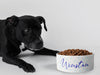 Personalised Ceramic Dog/Cat Name Pet Bowl