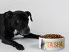 Personalised Ceramic Dog/Cat Name Pet Bowl