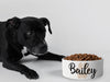 Personalised Ceramic Dog/Cat Name Pet Bowl