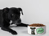 Personalised Ceramic Dog/Cat Name Pet Bowl
