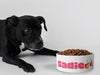 Personalised Ceramic Dog/Cat Name Pet Bowl