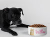 Personalised Ceramic Dog/Cat Name Pet Bowl