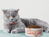 Personalised Ceramic Dog/Cat Name Pet Bowl