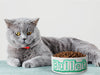 Personalised Ceramic Dog/Cat Name Pet Bowl