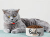 Personalised Ceramic Dog/Cat Name Pet Bowl
