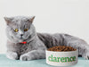Personalised Ceramic Dog/Cat Name Pet Bowl