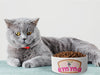 Personalised Ceramic Dog/Cat Name Pet Bowl