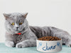 Personalised Ceramic Dog/Cat Name Pet Bowl