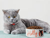 Personalised Ceramic Dog/Cat Name Pet Bowl