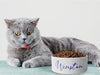 Personalised Ceramic Dog/Cat Name Pet Bowl