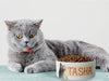 Personalised Ceramic Dog/Cat Name Pet Bowl