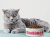 Personalised Ceramic Dog/Cat Name Pet Bowl