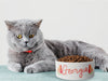 Personalised Ceramic Dog/Cat Name Pet Bowl