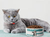 Personalised Ceramic Dog/Cat Name Pet Bowl
