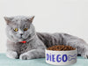 Personalised Ceramic Dog/Cat Name Pet Bowl