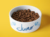 Personalised Ceramic Dog/Cat Name Pet Bowl