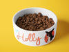 Personalised Ceramic Dog/Cat Name Pet Bowl
